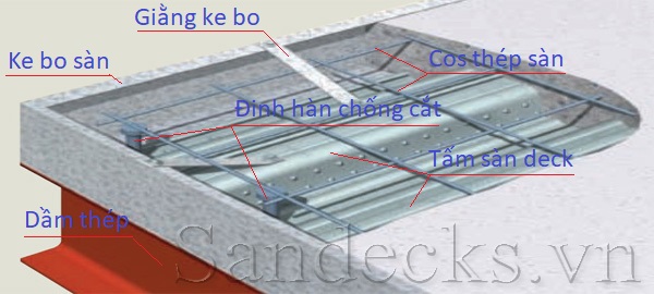 Cấu tạo sàn deck | sàn decking | ứng dụng | ưu nhược điểm